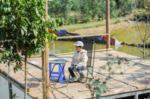 L'Esprit de l'Engagement Écologique : Comprendre la Psychologie des Militants pour l'Environnement
