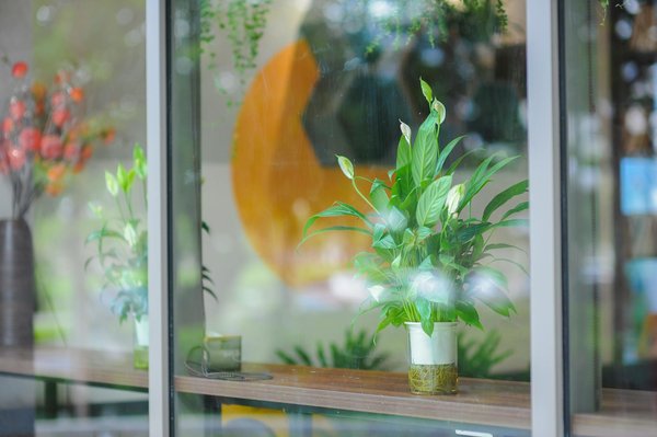 Découvrez la formation SST à Tarbes : sauvez des vies en 2 jours